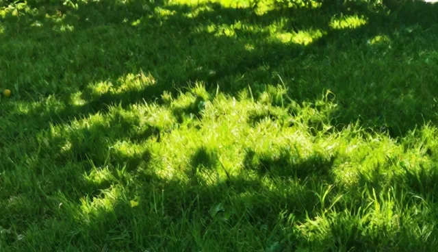 操作规范中的社区互动检查要点解析